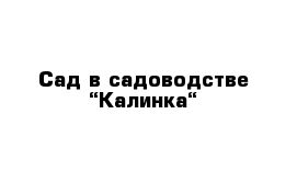 Сад в садоводстве “Калинка“